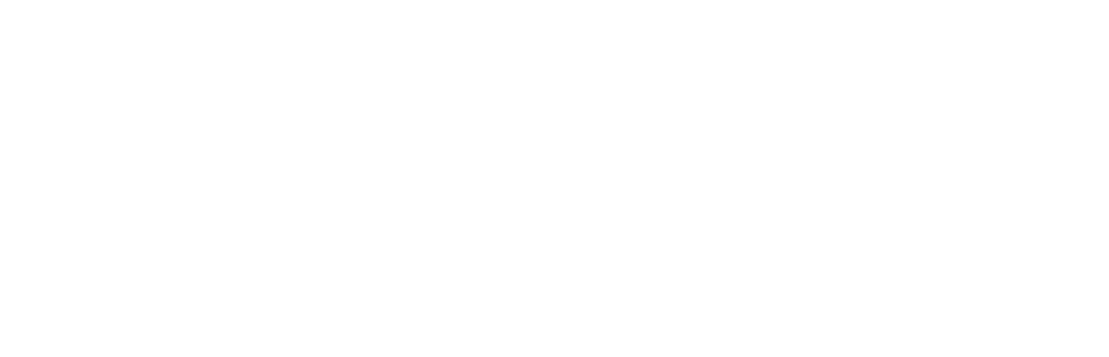 Servus IS Project Management